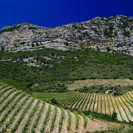 Bed & Breakfast U Fornu Patrimonio