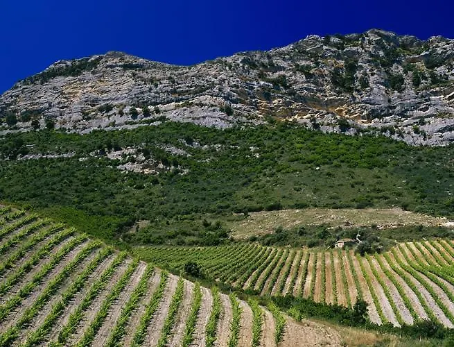 Bed and Breakfast U Fornu Patrimonio